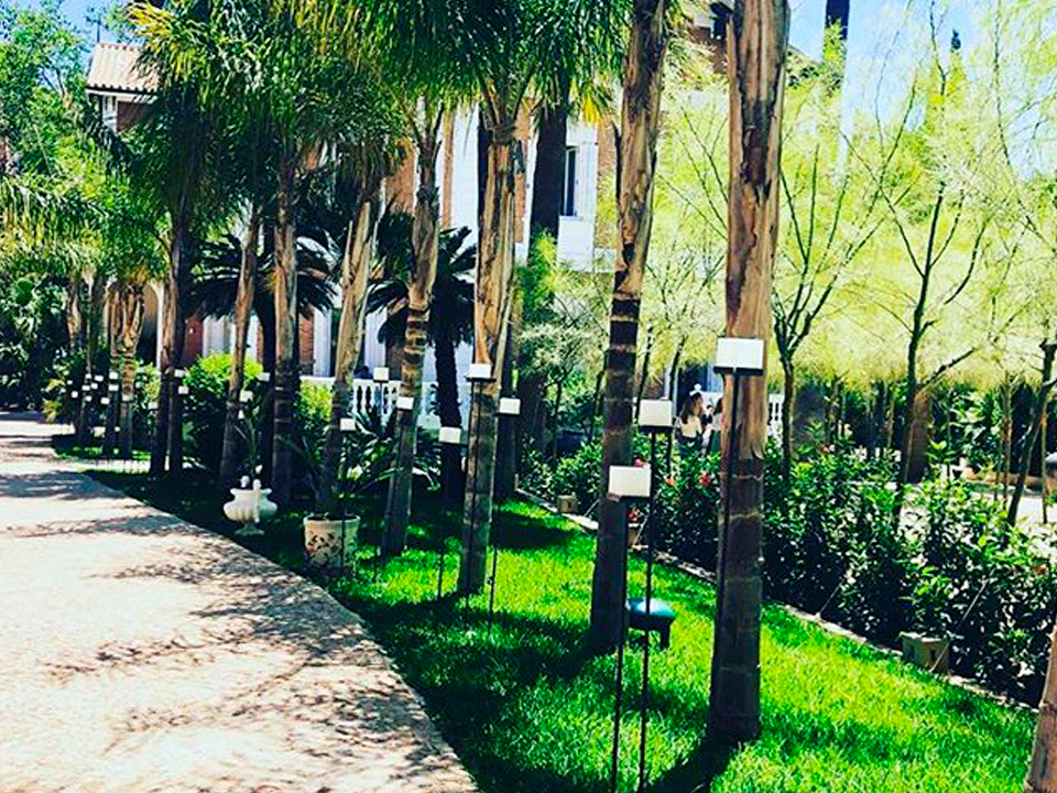 VAMOS QUE NOS VAMOS VAMOS QUE NOS VAMOS